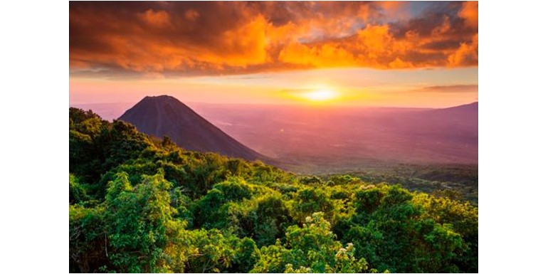 Cup of Excellence from a unique place in the world: the Apaneca-Ilamatepec volcanic mountain range