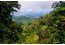Pacamara Nicaragua: Explorant els Tresors Cafeters de Nicaragua