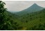 Rwanda Nyamasheke Coffee: Volcanic Sweetness in Your Cup