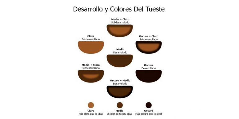 Las 3 fases y tipos de tueste del café