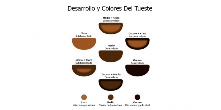 Conoce 5 Formas Diferentes De Preparar Café En Grano